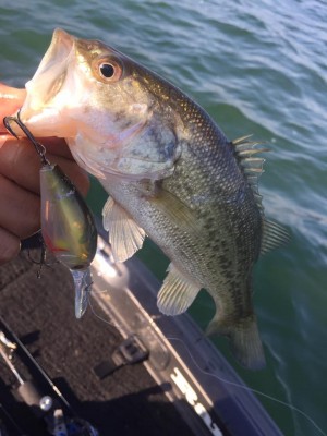 hideup 豌ｸ驥守ｷ丈ｸ譛� 繝悶Ο繧ｰ蜀咏悄 2016/12/19