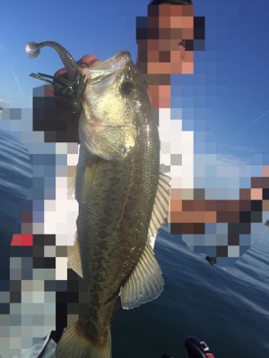 hideup 永野総一朗 ブログ写真 2016/10/18