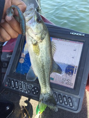 hideup 永野総一朗 ブログ写真 2015/11/04