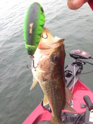 hideup 永野総一朗 ブログ写真 2014/09/25