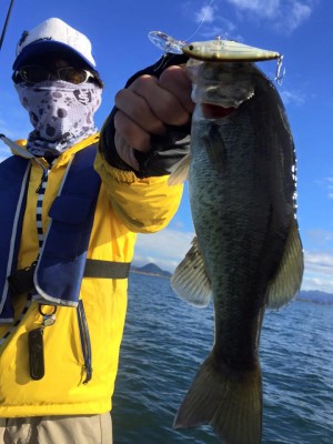 hideup 永野総一朗 ブログ写真 2015/11/10