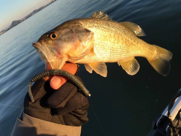 hideup 永野総一朗 ブログ写真 2017/11/21