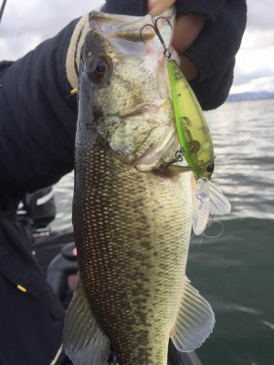 hideup 永野総一朗 ブログ写真 2016/12/24