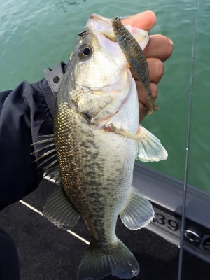 hideup 永野総一朗 ブログ写真 2016/04/01