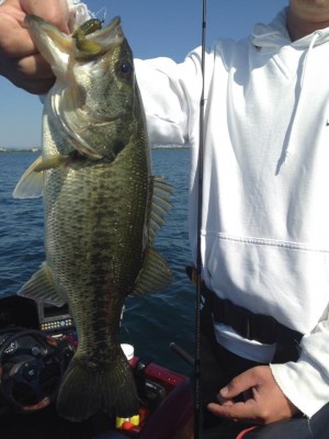 hideup 永野総一朗 ブログ写真 2015/05/26