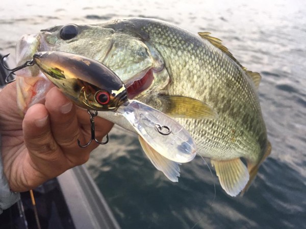 hideup 永野総一朗 ブログ写真 2016/10/21