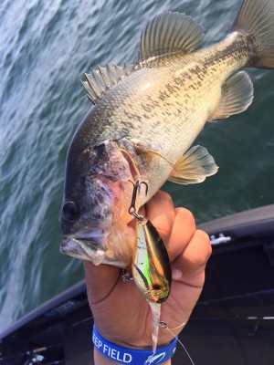 hideup 永野総一朗 ブログ写真 2016/05/23