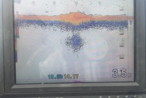 hideup 永野総一朗 ブログ写真 2017/05/22