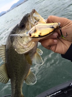 hideup 永野総一朗 ブログ写真 2016/03/18