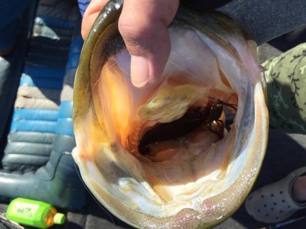 hideup 永野総一朗 ブログ写真 2016/07/20