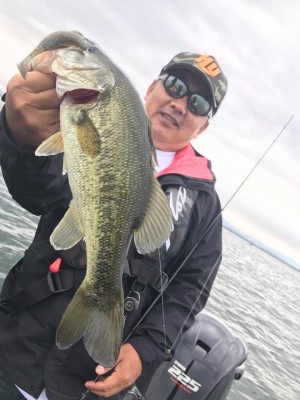 hideup 豌ｸ驥守ｷ丈ｸ譛� 繝悶Ο繧ｰ蜀咏悄 2017/06/11