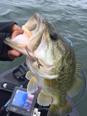 hideup 永野総一朗 ブログ写真 2017/05/06