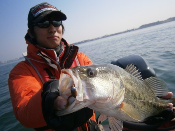 hideup 豌ｸ驥守ｷ丈ｸ譛� 繝悶Ο繧ｰ蜀咏悄 2013/03/08