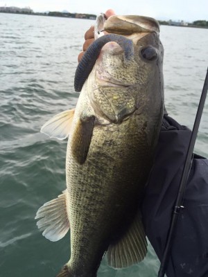hideup 永野総一朗 ブログ写真 2016/09/05