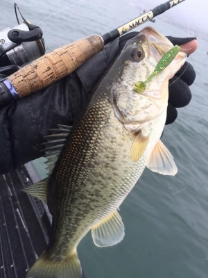 hideup 永野総一朗 ブログ写真 2017/02/15