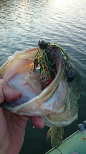 hideup 永野総一朗 ブログ写真 2014/11/22