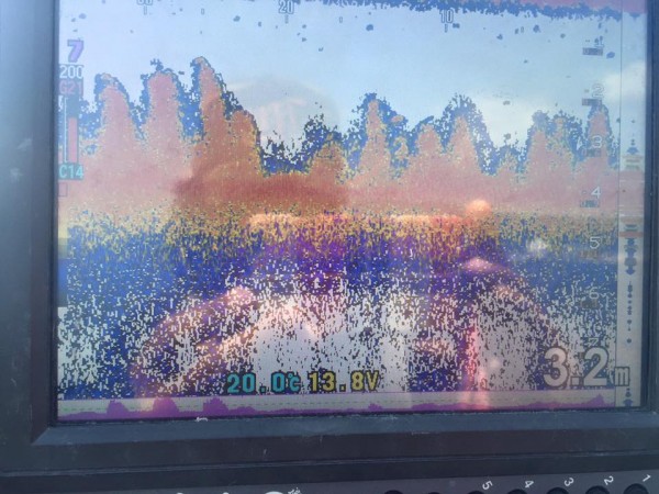 hideup 永野総一朗 ブログ写真 2016/05/17