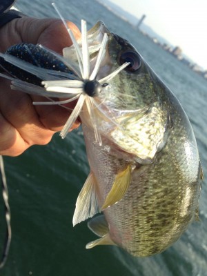 hideup 永野総一朗 ブログ写真 2014/11/13