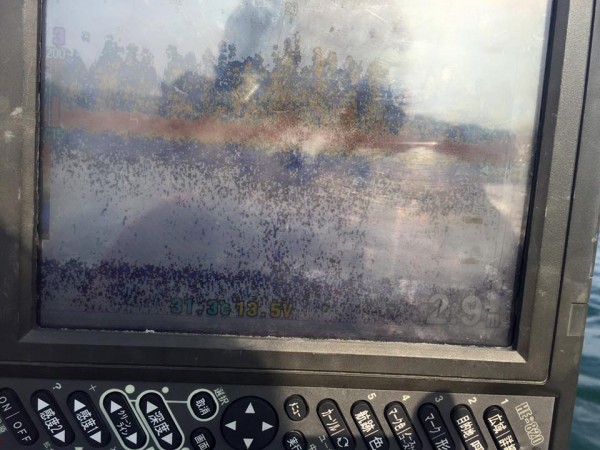 hideup 永野総一朗 ブログ写真 2016/08/01