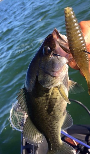 hideup 永野総一朗 ブログ写真 2016/08/21