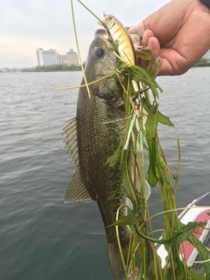 hideup 永野総一朗 ブログ写真 2015/07/03