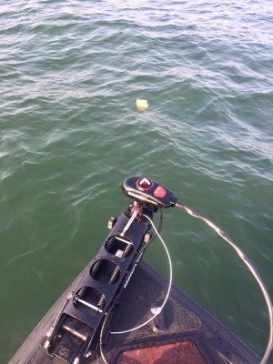 hideup 永野総一朗 ブログ写真 2016/02/28