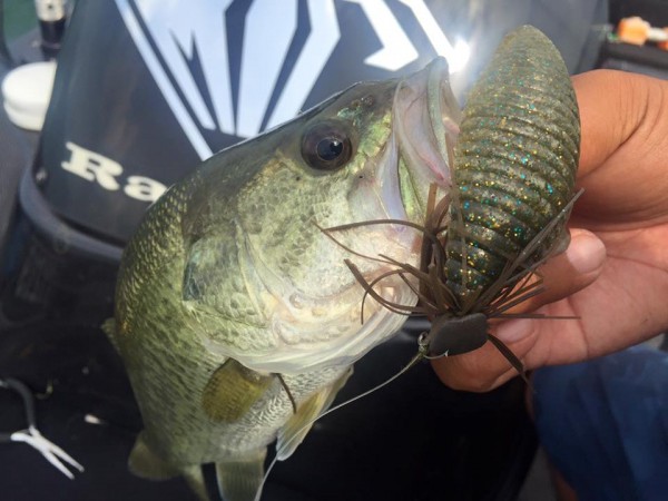 hideup 永野総一朗 ブログ写真 2016/08/02