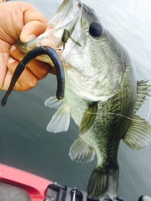 hideup 永野総一朗 ブログ写真 2015/07/11