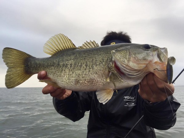 hideup 永野総一朗 ブログ写真 2016/05/09