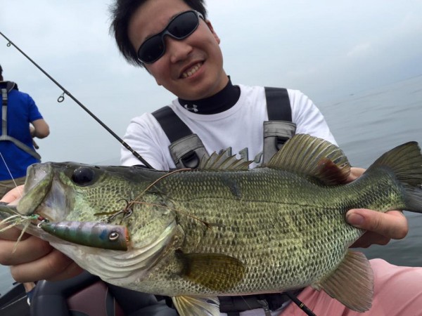 hideup 永野総一朗 ブログ写真 2016/06/22