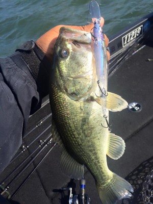 hideup 永野総一朗 ブログ写真 2016/06/02