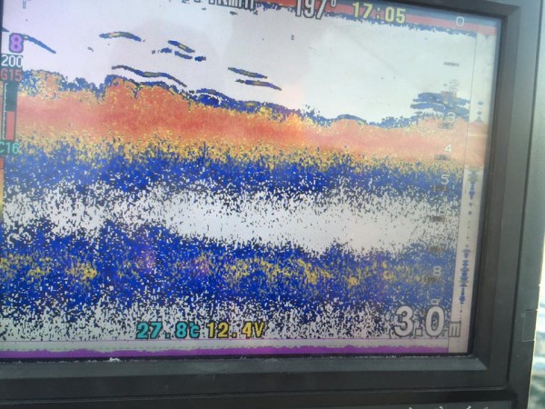 hideup 永野総一朗 ブログ写真 2016/09/11