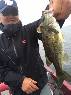 hideup 豌ｸ驥守ｷ丈ｸ譛� 繝悶Ο繧ｰ蜀咏悄 2015/09/16