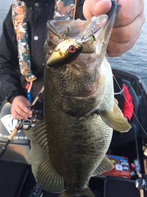 hideup 永野総一朗 ブログ写真 2016/11/17