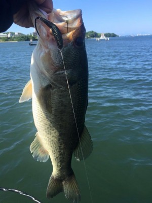 hideup 永野総一朗 ブログ写真 2016/06/02