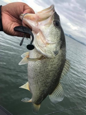 hideup 永野総一朗 ブログ写真 2017/09/12