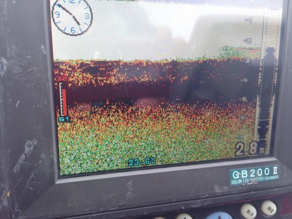 hideup 永野総一朗 ブログ写真 2015/06/03