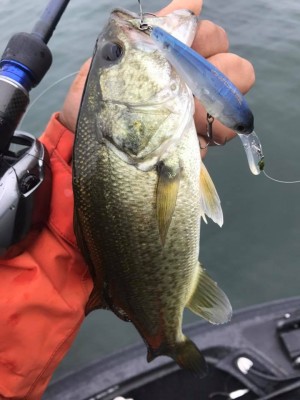 hideup 永野総一朗 ブログ写真 2017/10/19