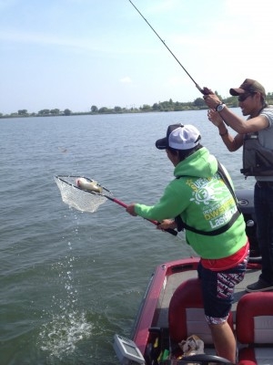 hideup 豌ｸ驥守ｷ丈ｸ譛� 繝悶Ο繧ｰ蜀咏悄 2013/06/07