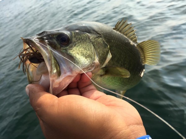 hideup 永野総一朗 ブログ写真 2016/08/15