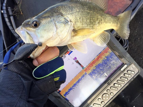 hideup 永野総一朗 ブログ写真 2016/03/01