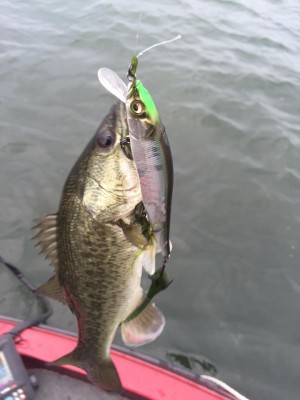 hideup 永野総一朗 ブログ写真 2015/07/02