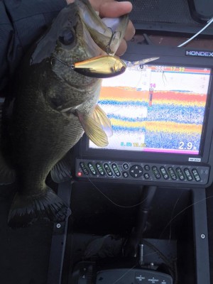 hideup 永野総一朗 ブログ写真 2016/03/06