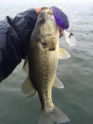 hideup 永野総一朗 ブログ写真 2016/04/07