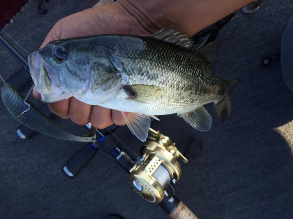 hideup 永野総一朗 ブログ写真 2015/09/24