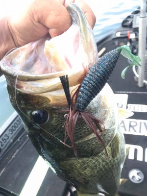 hideup 永野総一朗 ブログ写真 2017/08/02