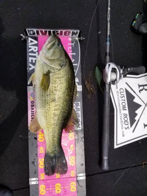 hideup 永野総一朗 ブログ写真 2017/06/22