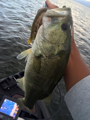 hideup 永野総一朗 ブログ写真 2016/08/28