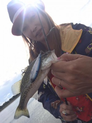 hideup 永野総一朗 ブログ写真 2017/10/14