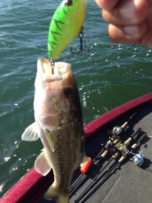 hideup 永野総一朗 ブログ写真 2014/11/04